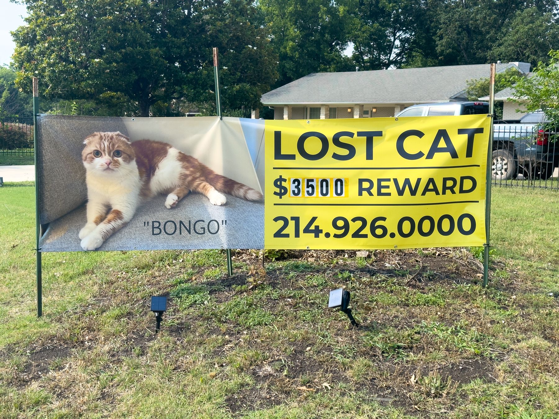 Bongo Cat Sign